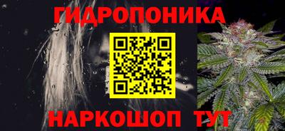 сатива Заволжье