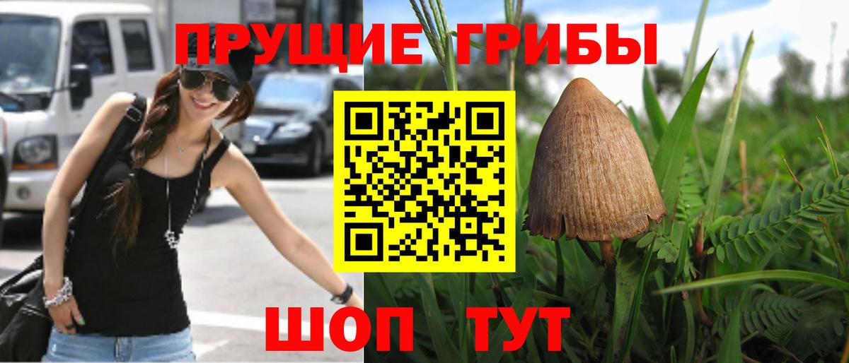 продажа наркотиков  Псилоцибиновые грибы Magic Shrooms  Галлюциногенные грибы Psilocybe  Вход с VPN  Кумертау 